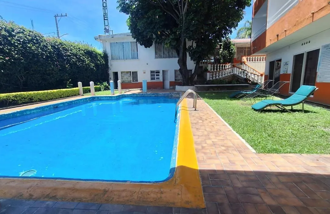 Palmas-1