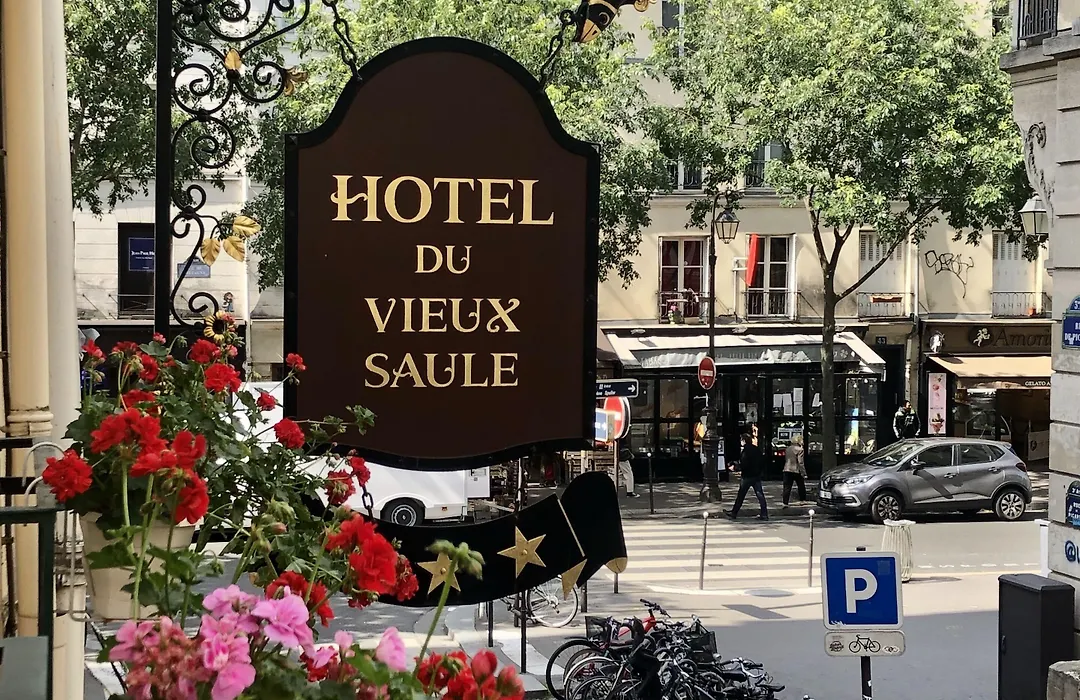 Hotel Du Vieux Saule-1