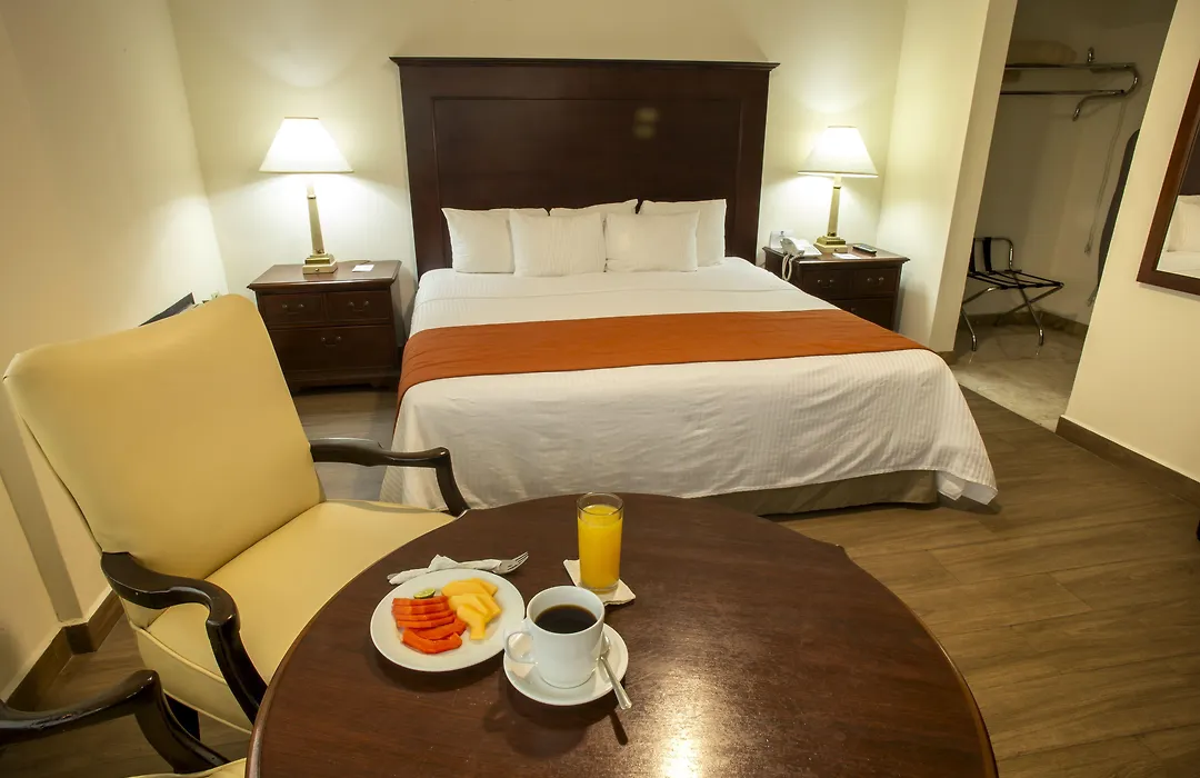 Hotel Plaza Calzada-1