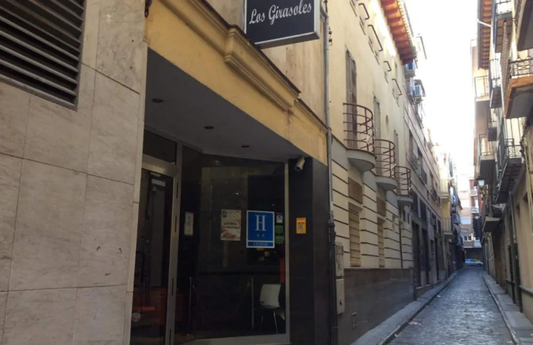 Hotel Los Girasoles-1