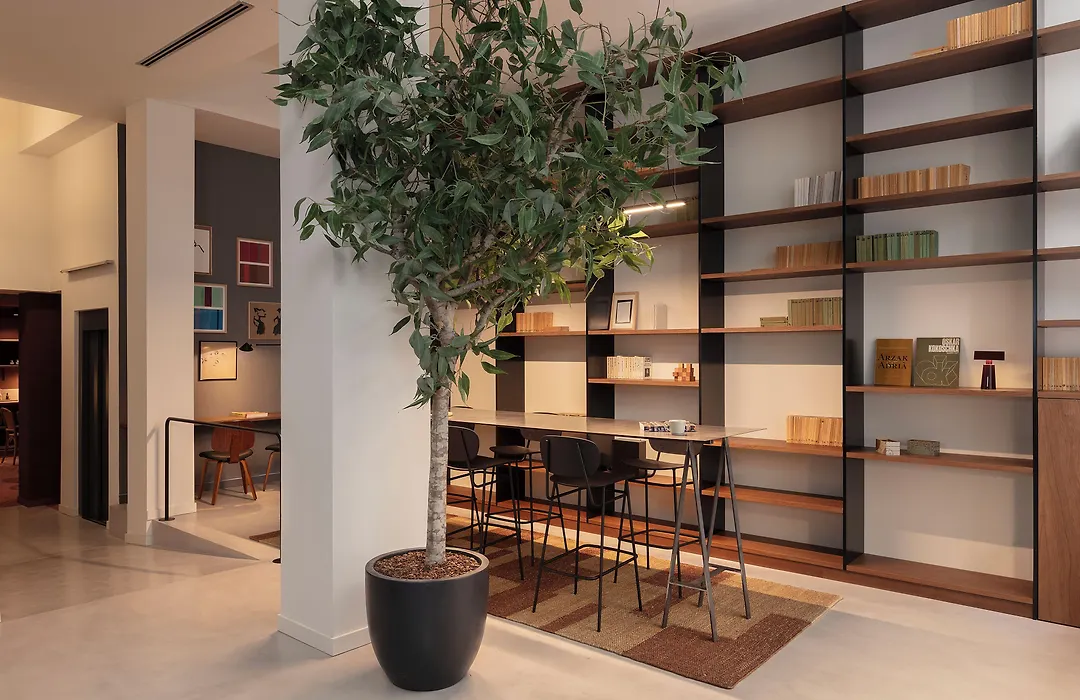 Toc Hotel Las Ramblas-1