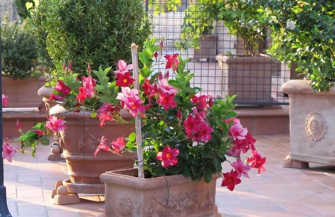 Agriturismo Colombaiolo-1