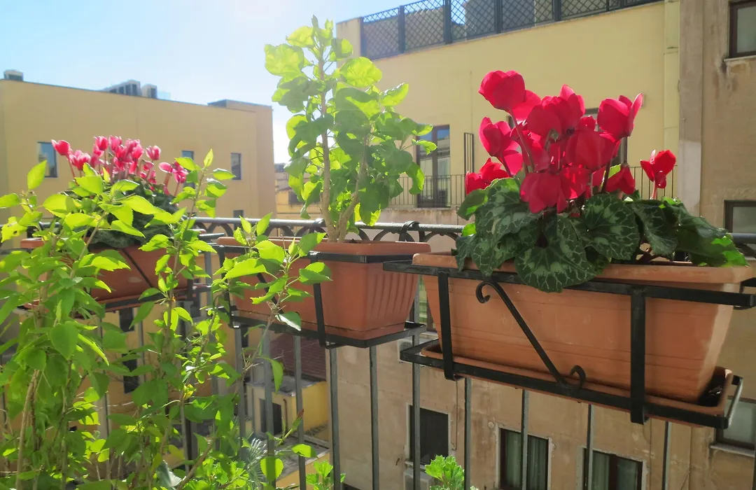Hotel Katty-1