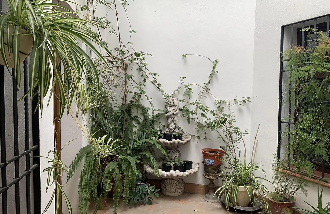 Hotel La Chiquita-1