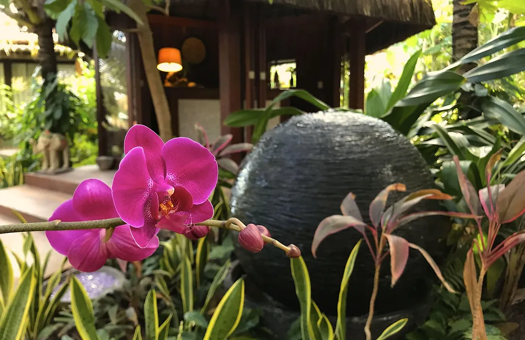 Paua Hotel Boutique-1