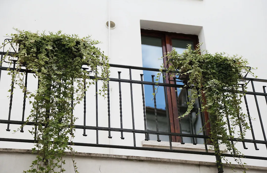 Residenza Accademia-1
