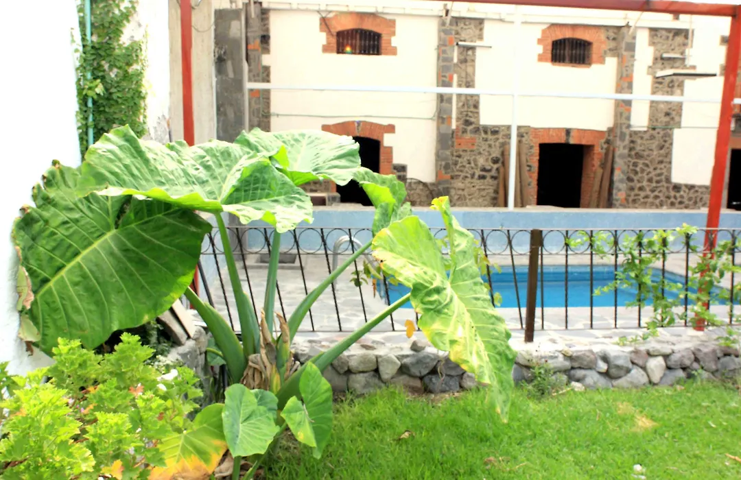 Hotel Vitorina-1