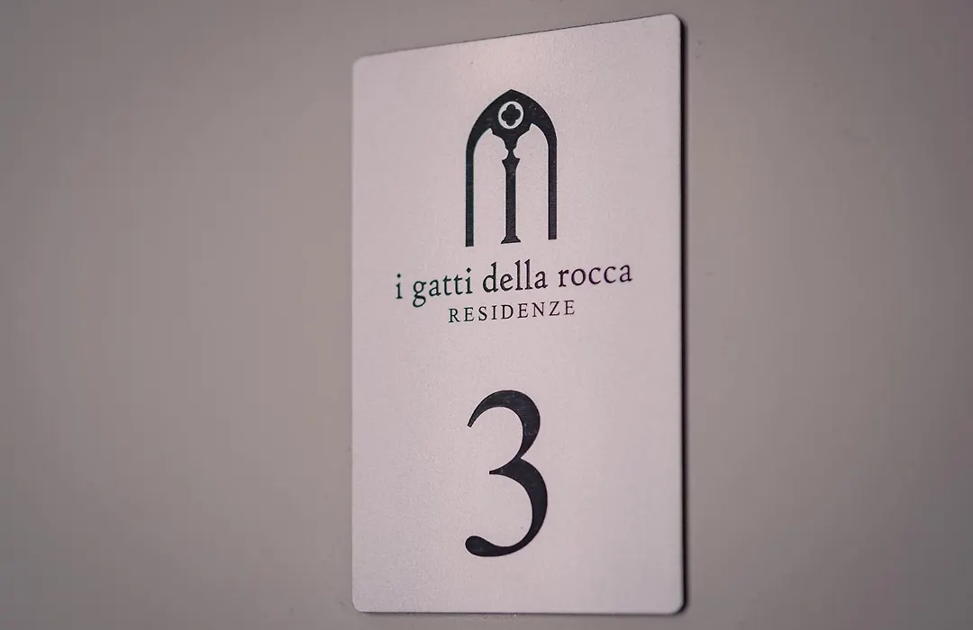 i gatti della rocca-1