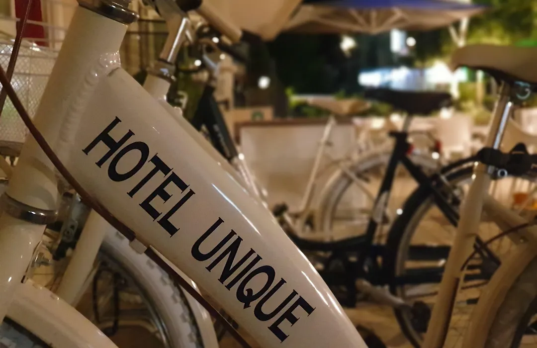 Unique Hotel-1