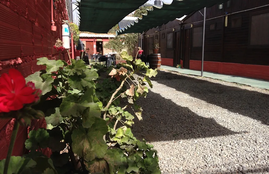Hostal del Suri-1
