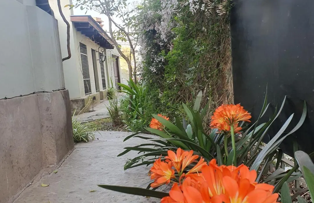 Los Tarcos Guest House-1