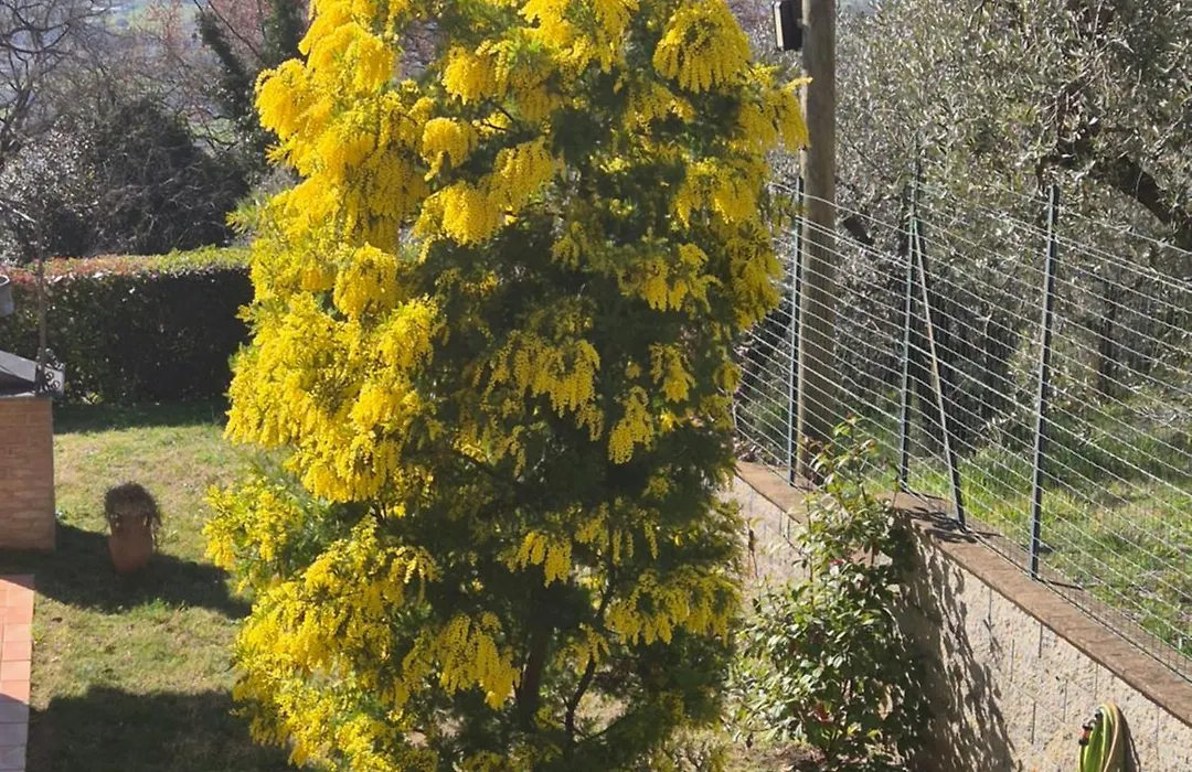 Villa Bigio-1
