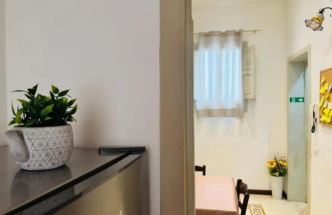 Calvino Home-1