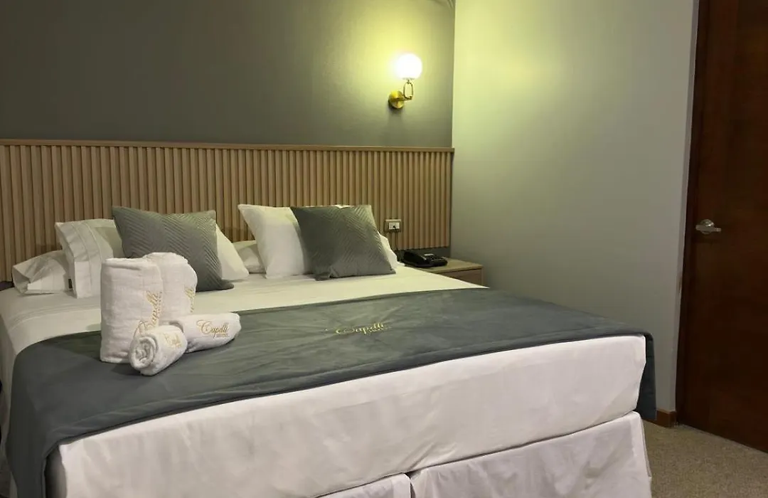 Hotel Capelli Talca-1