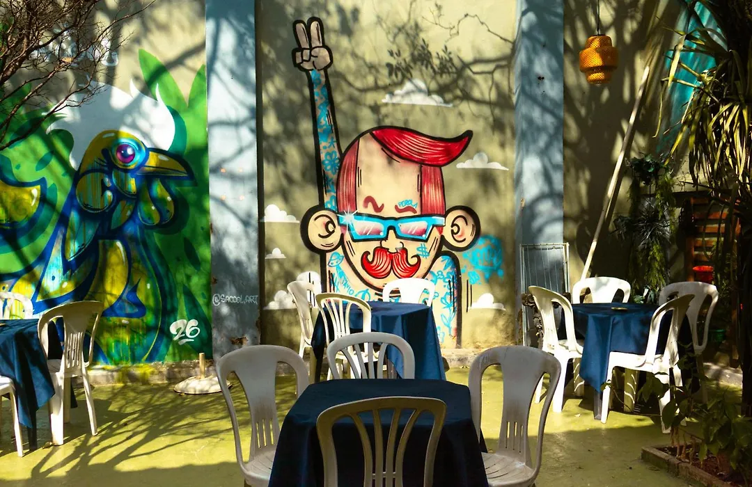 Trem Chic-1