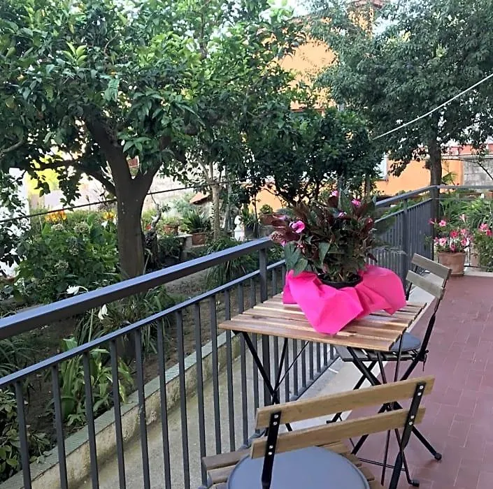B&B Miccio-1