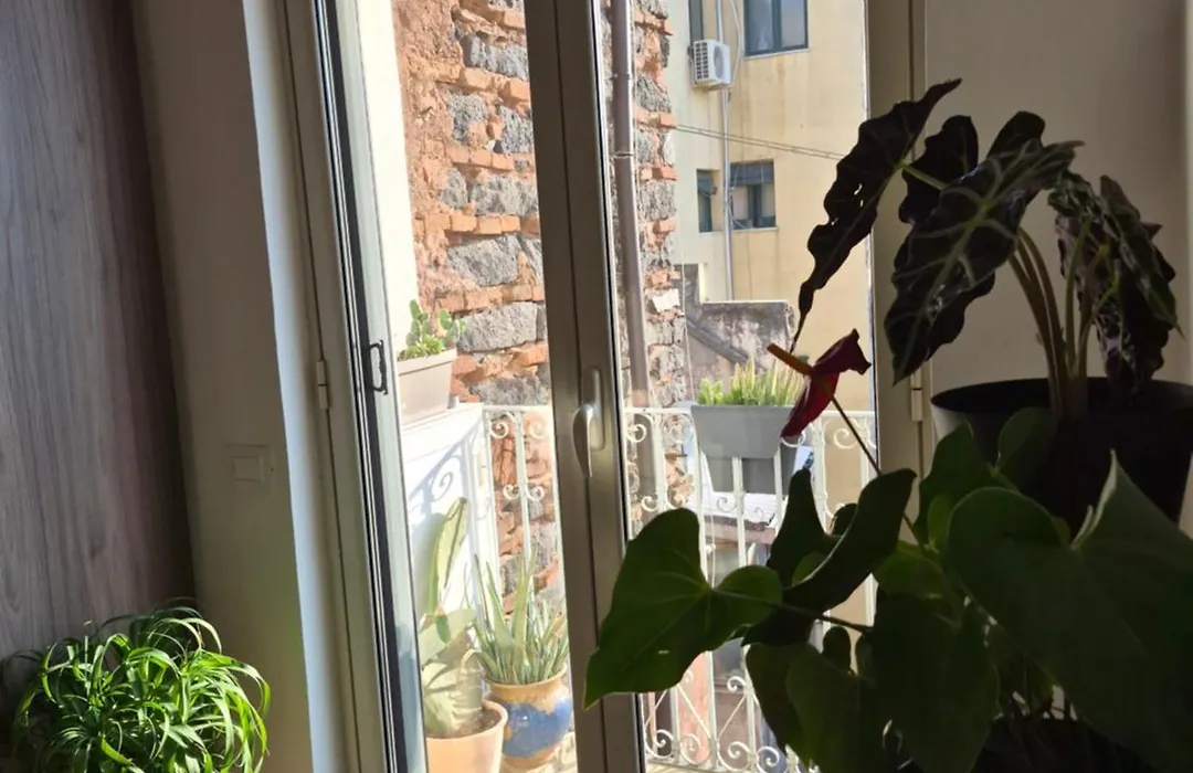 Liotru Maisonne, Rooms With En-Suite Bathroom And Shared Bathroom-1