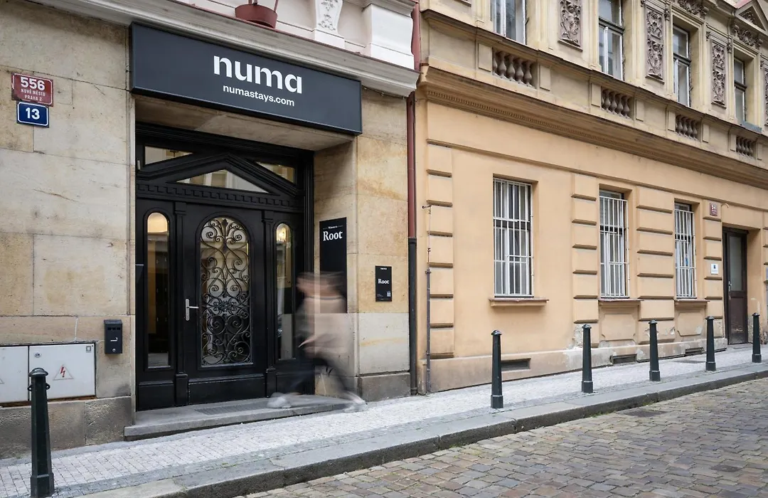 Numa Prague Root-1