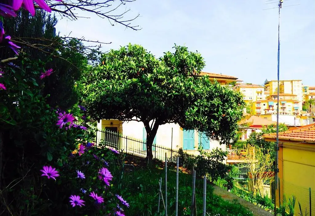 Levante Blu-1