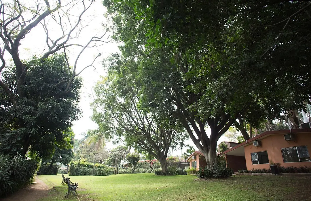 Hotel Jacarandas-1