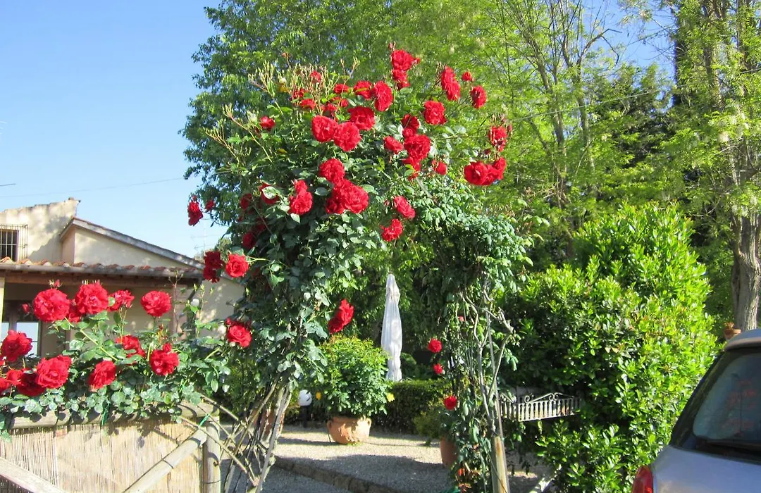 Agriturismo Il Colto-1