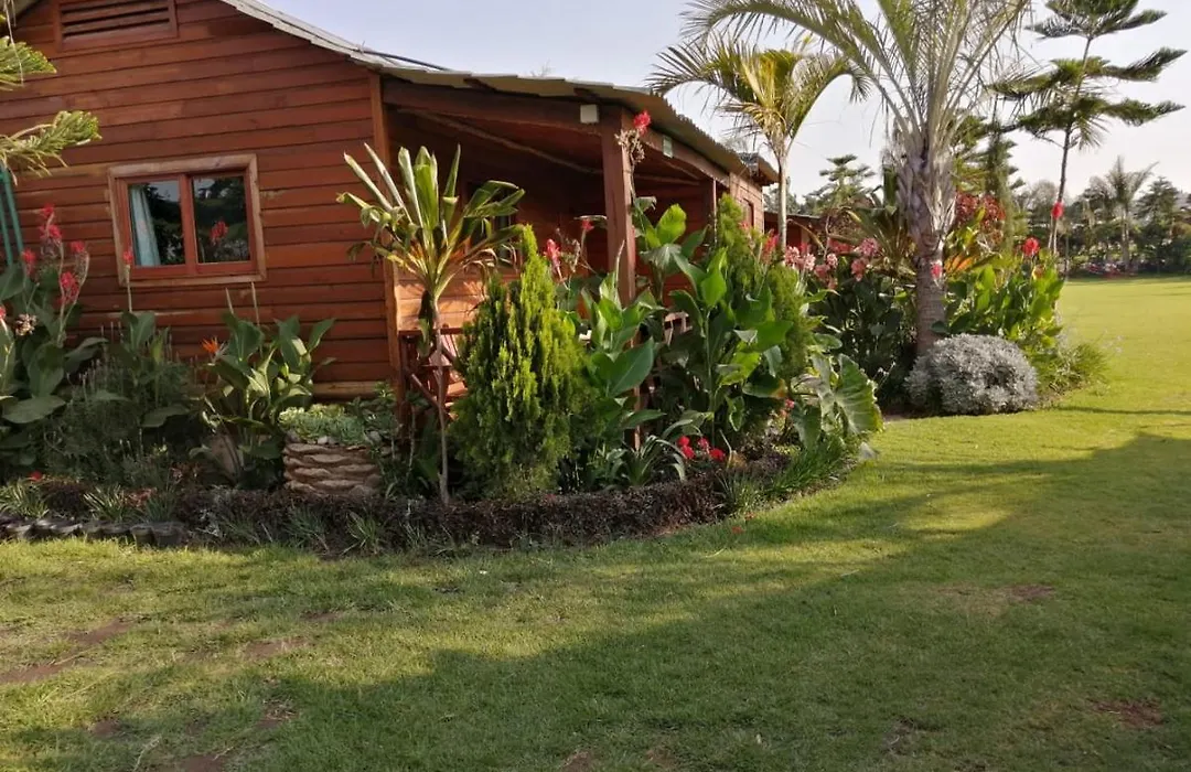 Cabañas la finca 2-1