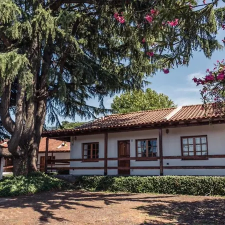 Apart Hotel Los Cedros-2