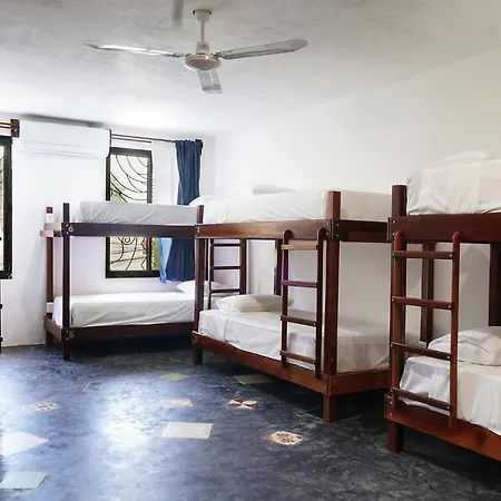 Red Panda Hostal-3