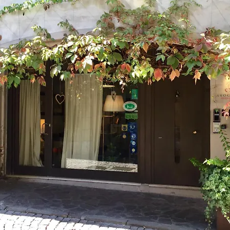 Avogari B&B-3