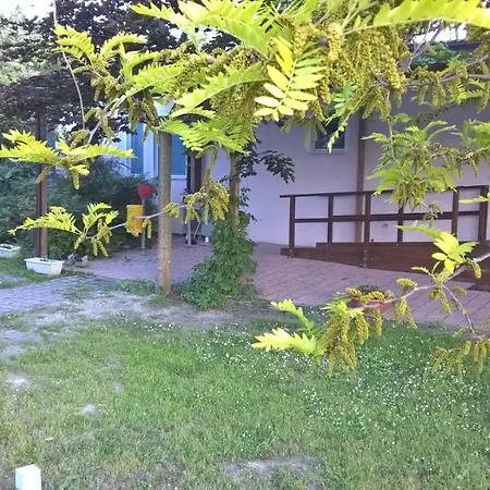 Rose Canine B&B-2