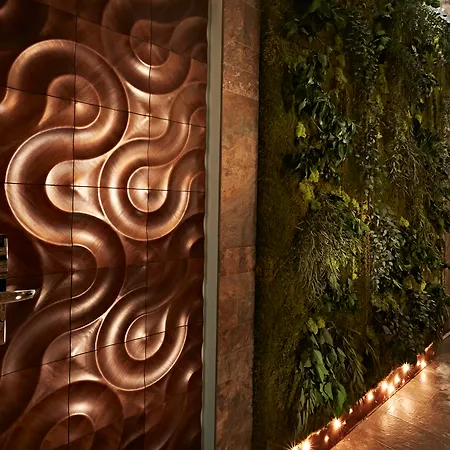 Le Reve De Naim Roma-2