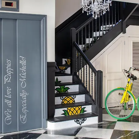 Staypineapple, A Delightful Hotel, South End-2