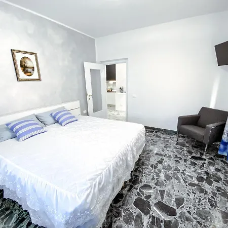 B&B Stella-3
