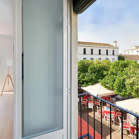 Orange Square Rooftop Apartment 250 M2-2