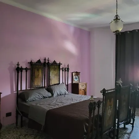 Vittoria alata-3