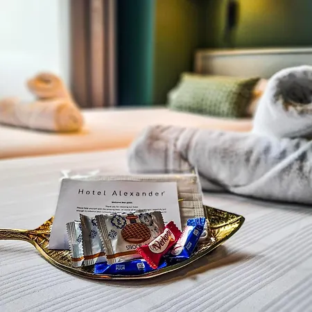 Hotel Alexander-3