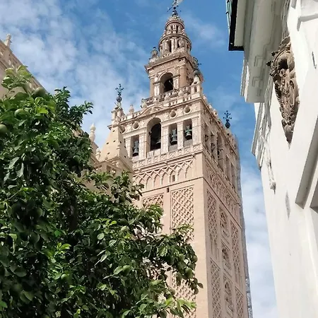 Sevillapark-2
