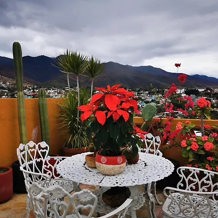 Casa Donaji Guest House-3