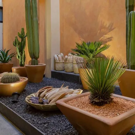 Casa Rufina Oaxaca Centro - Adults Only-3