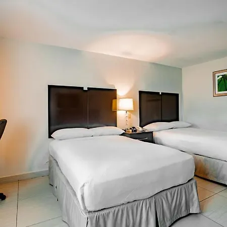 Studio Coliving Hotel-2