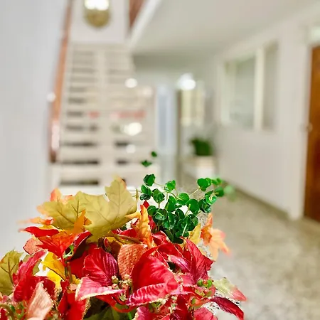 Hotel Cumanday-2