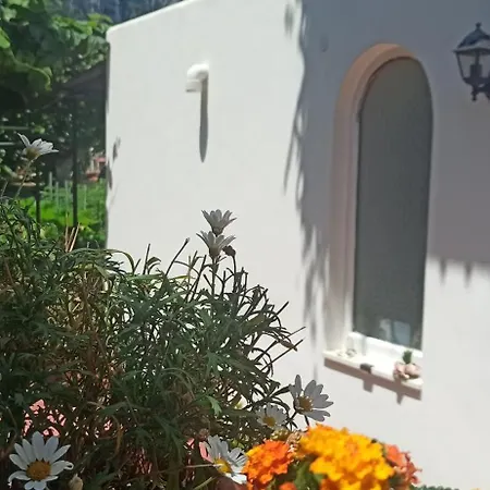 Villa dei fiori B&B-3