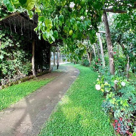 Relais Correale Rooms & Garden-Adult Only-3
