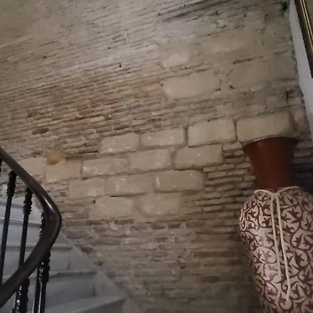 Hostal Fenix-2