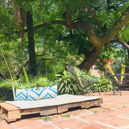 Bungalito en Cuernavaca-2