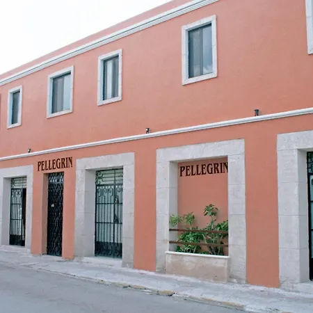 Hotel Casa Pellegrin-3