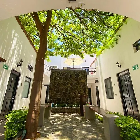 Calesa Real-3