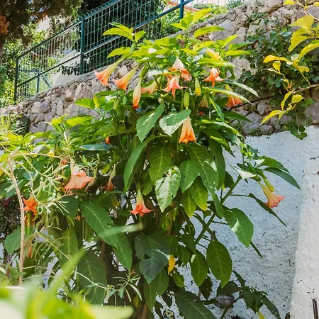 Casa Silvana, Capri - Relaxando En El Verde-2
