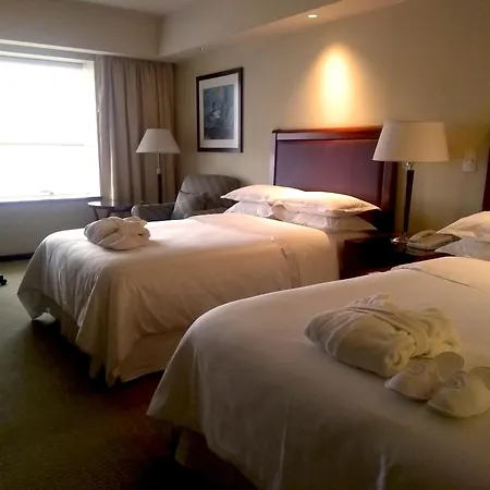 Sheraton Mendoza Hotel-3