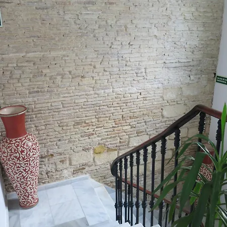 Hostal Fenix-3